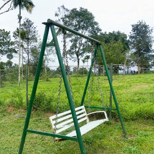 swing